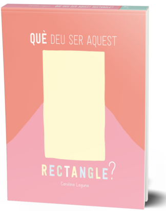 Què deu ser aquest rectangle?
